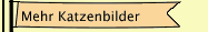 Mehr Katzenbilder