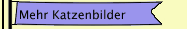 Mehr Katzenbilder